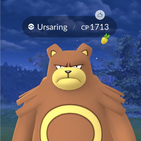 saberpanda28